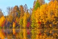 Autumn, Yellow Trees, Water