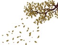 In autumn, a yellowed branch of a large oak tree with acorns. Flying leaves. Flyer, invitation card or business card