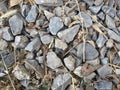 Crushed stone in the autumn grass. Abstract textural background. Minimalism and nature. Royalty Free Stock Photo