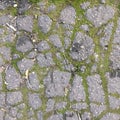 Old broken asphalt path overgrown with green moss. Natural abstract background. Royalty Free Stock Photo