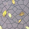 Yellow autumn leaves lying on the paving slabs. Natural textural background. Royalty Free Stock Photo