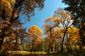 Autumn Yosemite