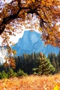 Autumn in Yosemite