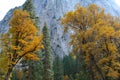 Autumn in Yosemite Valley