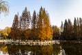 Autumn in Zhongshan Park, Qingdao, China