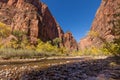 Autumn in the Zion Narrows Royalty Free Stock Photo