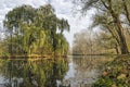 Autumn in Zuiderpark, Rotterdam