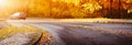Autumnal asphalt road with beautiful trees and foliage Royalty Free Stock Photo