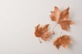 Autumnal background with three dry leaves on white table