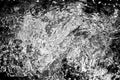 Autumnal black and white abstract water background. Formed from sunny reflections of forest trees and movement in a river. Royalty Free Stock Photo