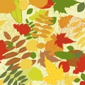 Autumnal bright leaf background vector