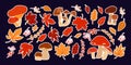 Autumnal collection with mushrooms and leaves. Stickers set