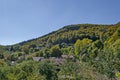 Autumnal colorful forest and house in the villaje Zheleznitsa, Sofia, Vitosha mountain Royalty Free Stock Photo