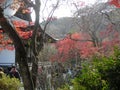 Autumnal colors in Kyoto temple garden