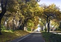 Autumnal Colours on Grahams Road, Burnside, Christchurch, New Zealand