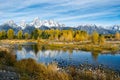 Autumnal Colours in the Grand Teton National Park