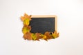 Autumnal composition with dry yellow and grey maple leafs, blank blackboard on white