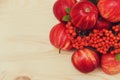 Autumnal composition from fruits.apples and rowanberries with leaves.wooden background.fall concept.