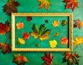 Autumnal composition with variety of fallen leaves in picture frame on bright green background