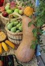 Autumnal concept with variety of fruit in a basket shot outdoor Royalty Free Stock Photo