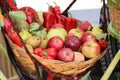 Autumnal concept with variety of fruit in a basket shot outdoor Royalty Free Stock Photo