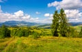 Autumnal countryside of Carpathian mountains