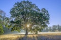 Autumnal dawn over rural meadows. Royalty Free Stock Photo