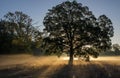 Autumnal dawn over rural meadows.