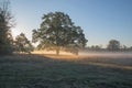 Autumnal dawn over rural meadows.