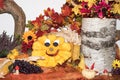 Autumnal decoration with colorful leaves, grape, smiling pumpkin, and flowers