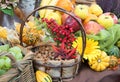 Autumnal decoration with corn, grapes, nuts in a basket, fruit and pumpkins Royalty Free Stock Photo