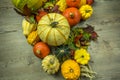 Autumnal decoration from various fruits Royalty Free Stock Photo