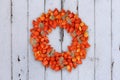 Autumnal Decoration Wreath with Physalis and Withywind on grunge background Royalty Free Stock Photo