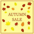 Autumnal discount. Vector fall leaf isolated on white background