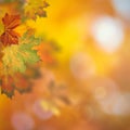 Autumnal fall. Beautiful seasonal backgrounds