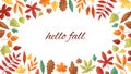 Autumnal fall frame of autumn leaves and typography isolated on white background vector illustration. Royalty Free Stock Photo