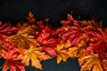 Autumnal flat lay with leaves