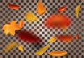 Autumnal foliage fall and poplar leaf flying in wind motion blur. Royalty Free Stock Photo