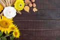 Autumnal food background. Crop of vegetables and fruit on wooden background. Royalty Free Stock Photo