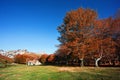 Autumnal forest in Gorbea near shelter Royalty Free Stock Photo