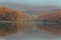 Autumnal forest on the lake - morning fog Royalty Free Stock Photo