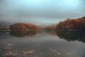 Autumnal forest on the lake - morning fog Royalty Free Stock Photo