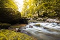 Autumnal forest, rocks covered with moss, fallen leaves. Mountain river with waterfalls at autumn times Royalty Free Stock Photo