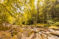 Autumnal forest, rocks covered with moss, fallen leaves. Mountain river with waterfalls at autumn times Royalty Free Stock Photo