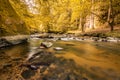 Autumnal forest, rocks covered with moss, fallen leaves. Mountain river with waterfalls at autumn times Royalty Free Stock Photo