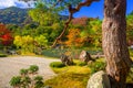 Autumnal forest at tenryu-ji temple