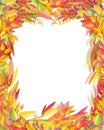 Autumnal frame, colorful autumnal leaves, watercolor illustration, isolated on white
