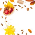 Autumnal frame composition. Fall leaves, apple, acorns on white background. Autumn, thanksgiving day concept. Flat lay