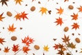 Autumnal frame with fall maple leaves and walnut on white. Flat lay, top view. Thanksgiving day concept