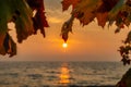 Autumnal frame of leaves by the Baltic Sea at sunrise, Poland